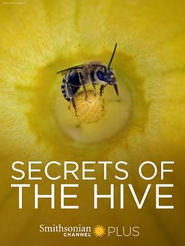 [Secrets of the hive]海报